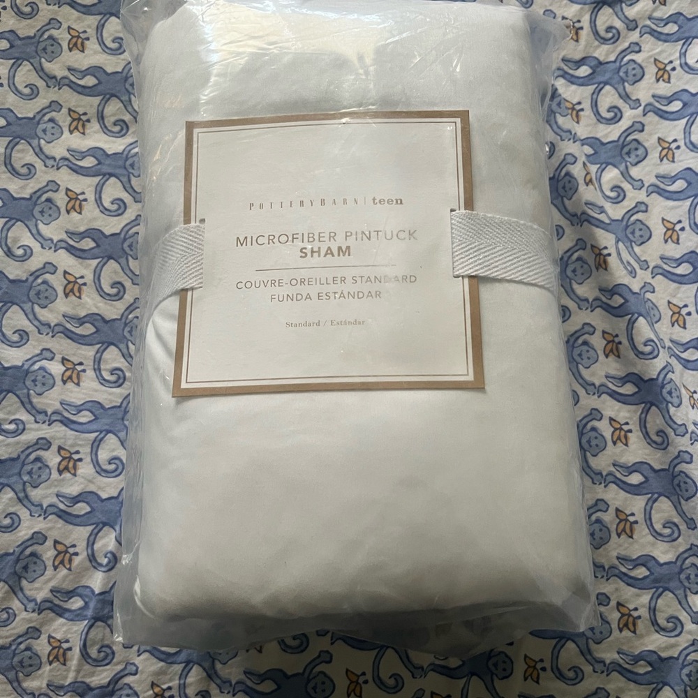 Pottery Barn Teen White Pillow Set